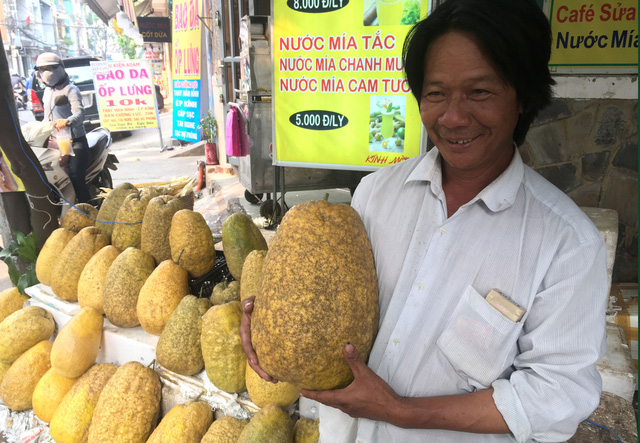 Lạ[-]lẫm[-]bưởi[-]“khủng”[-]chưng[-]tết[-]hơn[-]chục[-]ký